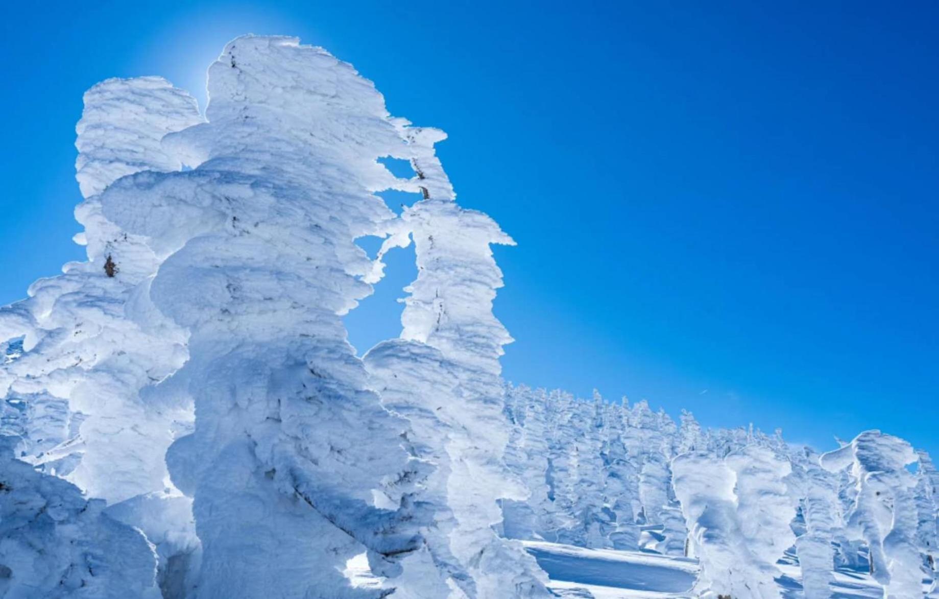 Snowfall Meteor 飛雪流星 Kaminoyama Exterior foto